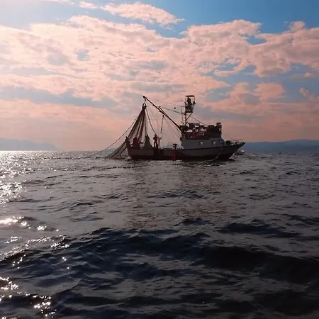 Complex In Πανσιόν Lokva Rogoznica