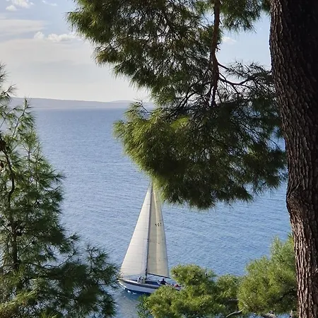 Complex In Lokva Rogoznica